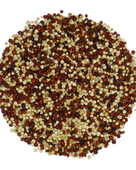 Quinoa 4-color (Container)(13oz)